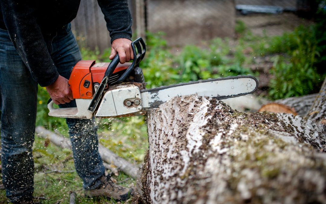 4 Top Chainsaw Models for Pros and Homeowners