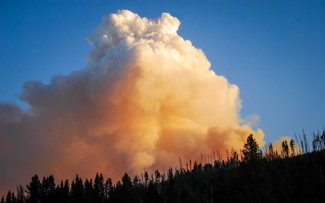4 Tactics to Help Hikers Survive Wildfires